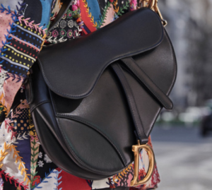 Bolso Saddle Dior