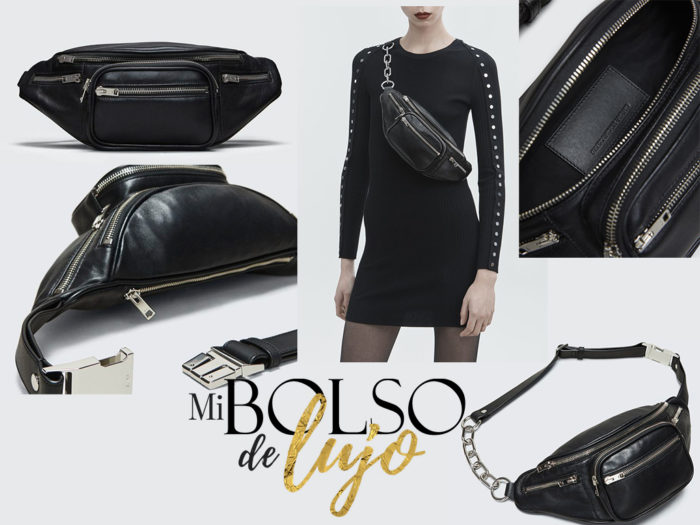 Fanny Pack Alexander Wang