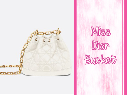 bolso miss dior bucket