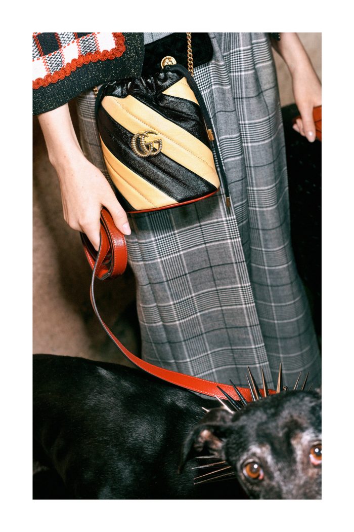 Colección Gucci Pre Otoño 2019