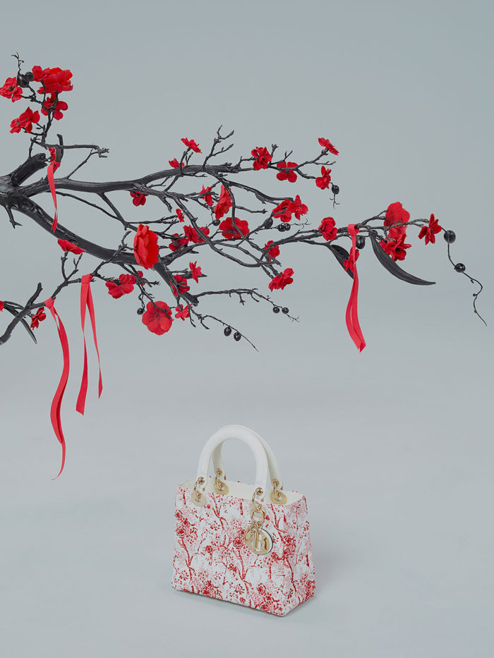 Dior-año-del-cerdo-2019