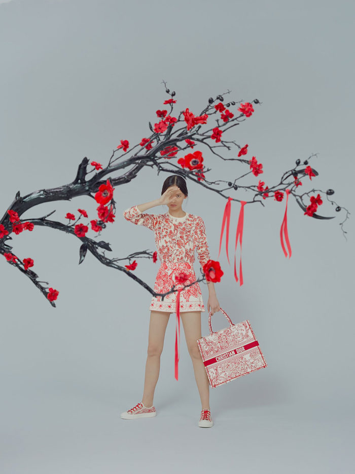 Dior-año-nuevo-2019-