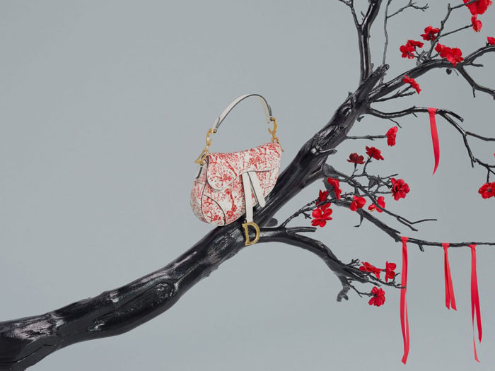 Dior-año-nuevo-2019-bolso-saddle