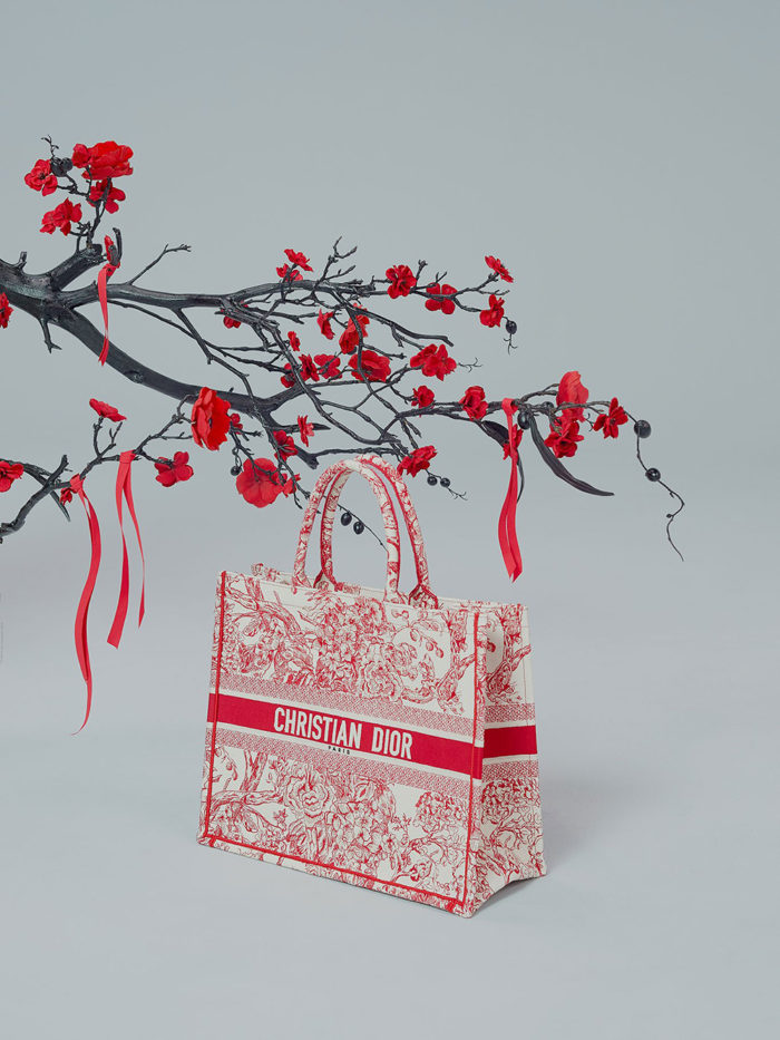 Dior-año-nuevo-2019-book-tote-oblique