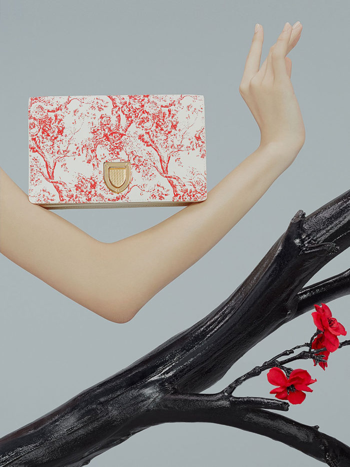 Dior-año-nuevo-2019-cartera