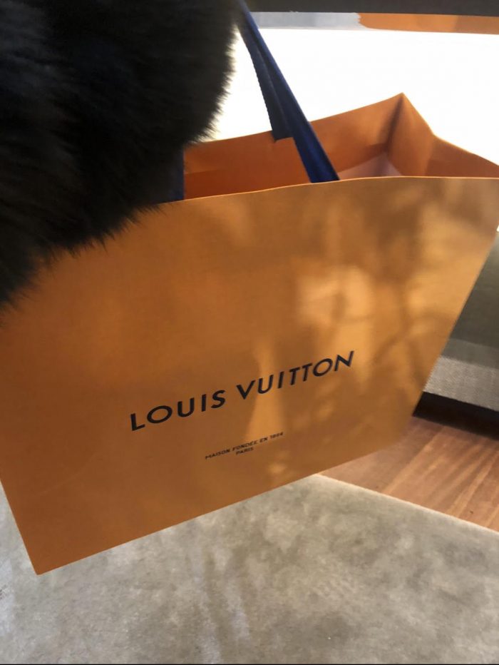 Louis-vuitton-reseña-bolso-grenelle