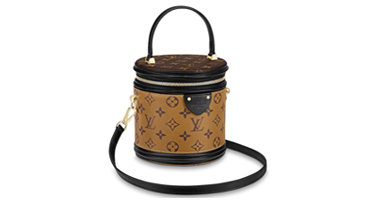 Bolso Cannes de Louis Vuitton